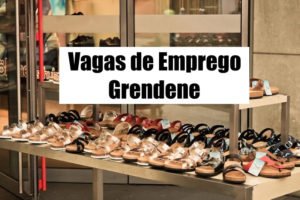 Grendene tem mais de 60 vagas de emprego abertas; confira os cargos