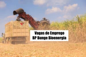 BP Bunge está com mais de 80 vagas de emprego abertas; veja como se inscrever