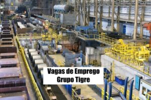 Grupo Tigre abre novas vagas de emprego; veja como se inscrever