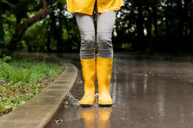 imagens de pés com bota na chuva, identificando a previsão do tempo dos próximos dias