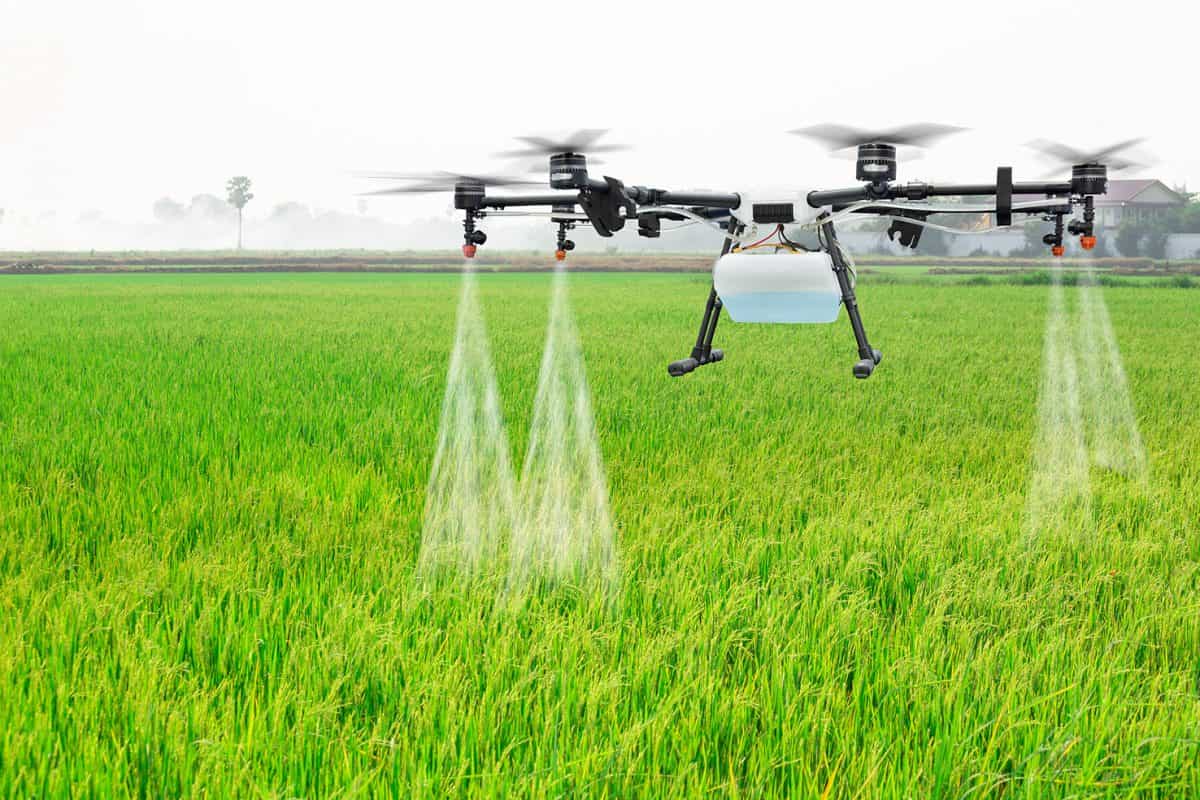 Drone irrigando plantação agrícola