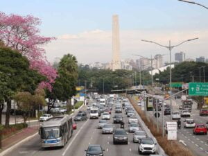 Mortes no trânsito de São Paulo batem recorde